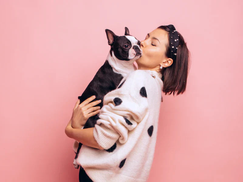 Les essentiels pour son chien, signés Maison Poupoune