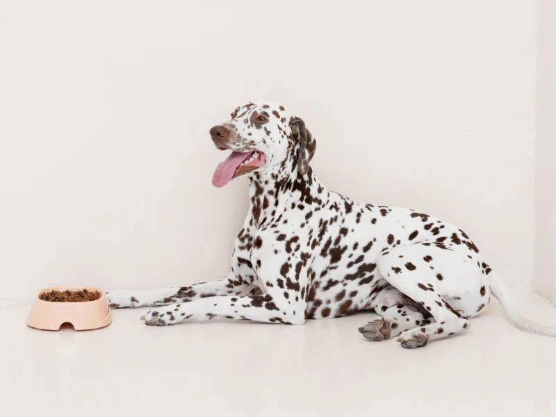 Pourquoi Maison Poupoune mise sur le Made in France et l’upcycling